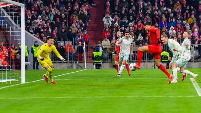 1739003373325047793.jpeg 1739003373325047793.jpeg